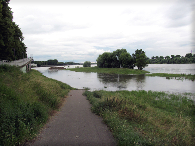 n_06_hws_n_ 21-06-2016_6043.jpg